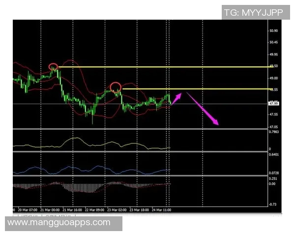 叙利亚与越南足球对决精彩直播全程回顾与分析
