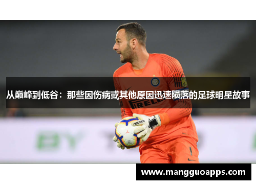 从巅峰到低谷：那些因伤病或其他原因迅速陨落的足球明星故事