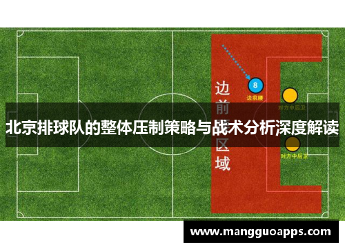 北京排球队的整体压制策略与战术分析深度解读
